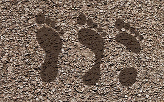 Mastering the Wet Test: A Simple Guide to Gait Analysis for Runners